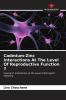Cadmium-Zinc Interactions At The Level Of Reproductive Function ���