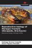 Reproductive biology of Menippe frontalis (Decapoda Brachyura)