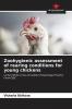 Zoohygienic assessment of rearing conditions for young chickens
