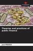 Theories and practices of public finance