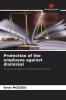Protection of the employee against dismissal