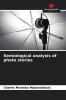 Semiological analysis of photo stories