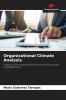Organizational Climate Analysis