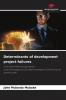 Determinants of development project failures