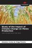 Study of the Impact of Climate Change on Maize Production