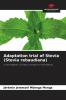 Adaptation trial of Stevia (Stevia rebaudiana)