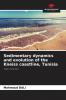 Sedimentary dynamics and evolution of the Kneiss coastline Tunisia