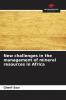 New challenges in the management of mineral resources in Africa