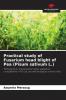 Practical study of Fusarium head blight of Pea (Pisum sativum L.)