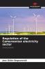 Regulation of the Cameroonian electricity sector