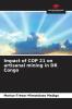 Impact of COP 21 on artisanal mining in DR Congo