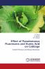 Effect of Pseudomonas Fluorescens and Humic Acid on Cabbage