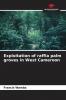 Exploitation of raffia palm groves in West Cameroon