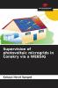Supervision of photovoltaic microgrids in Conakry via a WEBSIG