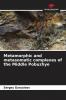 Metamorphic and metasomatic complexes of the Middle Pobuzhye