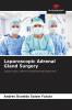 Laparoscopic Adrenal Gland Surgery