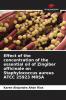 Effect of the concentration of the essential oil of Zingiber officinale on Staphylococcus aureus ATCC 25923 MRSA