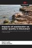 Impacts of wastewater on water quality in Bouismail
