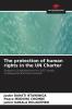 The protection of human rights in the UN Charter