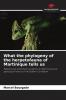 What the phylogeny of the herpetofauna of Martinique tells us