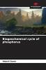 Biogeochemical cycle of phosphorus