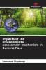 Impacts of the environmental assessment mechanism in Burkina Faso