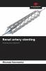 Renal artery stenting