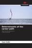 Determinants of the career path