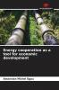 Energy cooperation as a tool for economic development