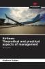 Airlines: Theoretical and practical aspects of management