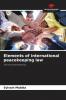Elements of international peacekeeping law
