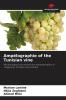 Amp��lographie of the Tunisian vine