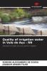 Quality of irrigation water in Vale do A��u - RN