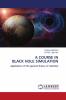 A COURSE IN BLACK HOLE SIMULATION