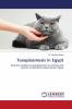 Toxoplasmosis in Egypt