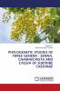 PHYLOGENETIC STUDIES OF THREE GENERA - SENNA CHAMAECRISTA AND CASSIA OF SUBTRIBE CASSIINAE