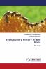 Evolutionary History of Bee Hives