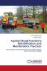 Asphalt Road Pavement Rehabilitation and Maintenance Practices