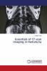 Essentials of CT scan imaging in Hematuria