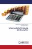 Intermediate Financial Mathematics