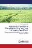 Response of Wheat to Phosphorus Zinc and Iron in Loamy Sand Soils