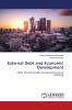 External Debt and Economic Development