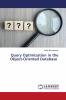 Query Optimization in the Object-Oriented Database