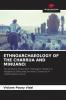 ETHNOARCHAEOLOGY OF THE CHARRUA AND MINUANO: