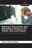 Business Ecosystem and Workplace Stress in Cd Valles San Luis Potos��