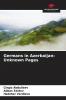 Germans in Azerbaijan: Unknown Pages