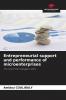 Entrepreneurial support and performance of microenterprises
