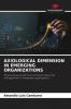 AXIOLOGICAL DIMENSION IN EMERGING ORGANIZATIONS