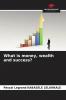 What is money wealth and success?