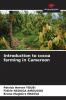 Introduction to cocoa farming in Cameroon